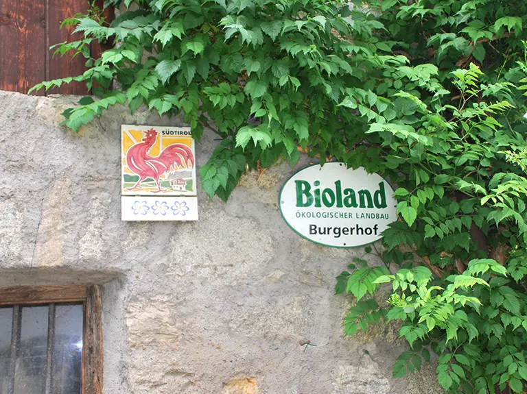 Ökologischer Landbau im Biohof Burgerhof